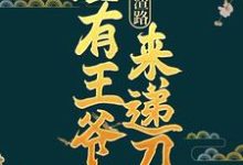 已完结小说《重生虐渣路，总有王爷来递刀》最新章节-经典文学
