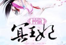 神偷冥王妃小说无弹窗阅读的网站推荐-经典文学