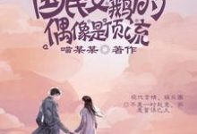 国民女鹅的偶像是顶流小说,国民女鹅的偶像是顶流最新章节-经典文学