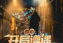 小说《都市:开局遭遇中年危机》章节免费阅读-经典文学
