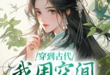 穿到古代,我用空间带飞全家免费阅读,穿到古代,我用空间带飞全家章节在线阅读-经典文学