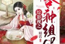 综影视之各种组cp主角 苏暖周少朴小说完结版章节在线阅读-经典文学