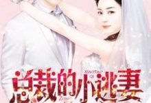 总裁的小逃妻小说全文阅读需要付费吗?寻找免费资源-经典文学