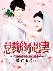 总裁的小逃妻小说全文阅读需要付费吗？寻找免费资源