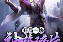 开局一块神格碎片[标签:作者]，开局一块神格碎片章节在线阅读-经典文学