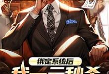 绑定系统后，我一元秒杀一辆奔驰小说的无弹窗阅读体验，寻找免费阅读网站-经典文学