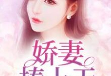 娇妻捧上天小说完结版章节免费阅读-经典文学