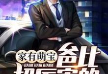 小说《家有萌宝：爸比超厉害的》在线章节阅读-经典文学
