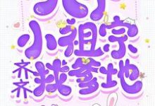完结版《八个小祖宗齐齐找爹地》章节目录在线阅读-经典文学