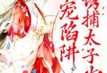 甜宠陷阱：诱捕太子攻略（姜怜衣沈临魏洐之）在线免费阅读-经典文学