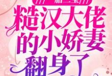 一胎三宝:糙汉大佬的小娇妻翻身了小说有没有完结版在线?-经典文学