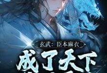 已完结小说《玄武:臣本麻衣,成了天下锦绣霸主》在线章节阅读-经典文学