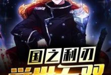 小说《国之利刃：举世无双》章节免费阅读-经典文学