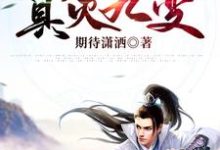 真灵九变免费阅读,真灵九变林炎初云宛-经典文学