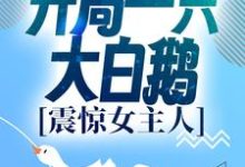在线搜索徐桓林丽英的完整小说,免费阅读进化:开局一只大白鹅,震惊女主人-经典文学
