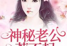 神秘老公惹不起免费阅读,神秘老公惹不起章节在线阅读-经典文学