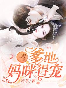 一胎三宝：爹地，妈咪得宠！免费阅读，一胎三宝：爹地，妈咪得宠！章节在线阅读