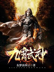 林问天林青青公子崖林宇宏为主角的小说九霄武神在线阅读