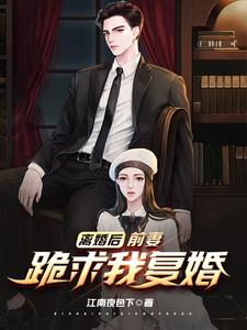 《离婚后，前妻跪求我复婚》小说章节列表免费试读，林天万子欣小说在线阅读