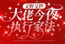 又野又撩,大佬今夜执行家法叶初初陆砚屿小说在线章节目录阅读最新章节-经典文学