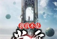 小说《我真不是学霸》章节免费阅读-经典文学
