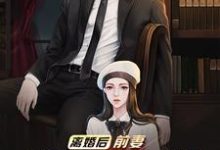 离婚后,前妻跪求我复婚小说的免费阅读版本在哪里可以找到?-经典文学