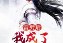 雷劈后,我成了阴阳道体小说的无弹窗阅读体验,寻找免费阅读网站-经典文学