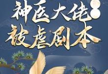 穿越后，神医大佬撕了被虐剧本 梅闻儿夜宸风小说在线章节免费阅读-经典文学