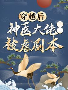 穿越后，神医大佬撕了被虐剧本 梅闻儿夜宸风小说在线章节免费阅读