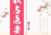 《独占医妻》小说大结局免费试读 盛玥君元晔小说-经典文学