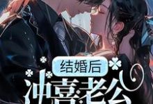 小说《结婚后，冲喜老公成教授，还死盯我！》章节免费阅读-经典文学