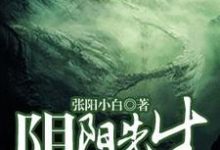阴阳先生那些事小说，阴阳先生那些事免费阅读-经典文学