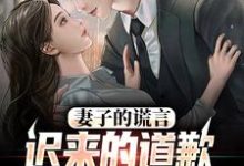 《妻子的谎言:迟来的道歉不配说爱》全集免费在线阅读(方鸣程心)-经典文学