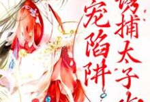 已完结小说《甜宠陷阱:诱捕太子攻略》在线章节阅读-经典文学