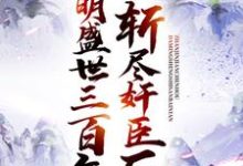 斩尽奸臣后，大明盛世三百年小说免费资源，斩尽奸臣后，大明盛世三百年在线阅读-经典文学
