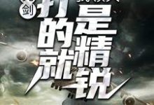 张合为主角的小说好看吗？免费读亮剑：我领兵，打的就是精锐！-经典文学
