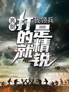 张合为主角的小说好看吗？免费读亮剑：我领兵，打的就是精锐！