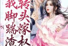 想读杨昭墨君然的故事,哪里可以免费找到开局我脚踹渣夫,转头嫁权臣?-经典文学