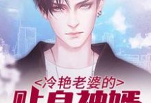 冷艳老婆的贴身神婿小说无弹窗阅读的网站推荐-经典文学