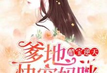 完结版《酷宝逆天:爹地,快宠妈咪》免费阅读-经典文学