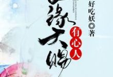 免费在线阅读良缘天赐有心人小说的正规网站有哪些？-经典文学