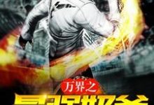 肖尘囡囡夏悠小说《万界之最强奶爸》在线阅读-经典文学