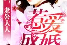 惹爱成婚小说，惹爱成婚免费阅读-经典文学