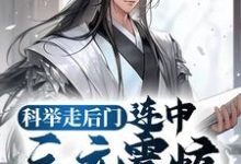 《科举走后门,连中三元震惊无数学子》全集免费在线阅读(苏誉顾长乐)-经典文学