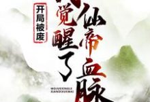 主角易阡陌鱼幼薇黎天小说完结版在线阅读,开局被废,我觉醒了仙帝血脉免费看-经典文学