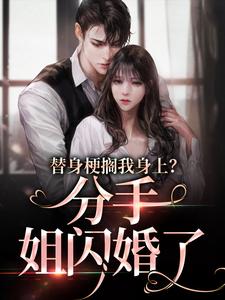 替身梗搁我身上？分手，姐闪婚了小说，替身梗搁我身上？分手，姐闪婚了章节在线阅读