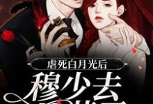 虐死白月光后，穆少去买药了小说有没有完结版在线？-经典文学