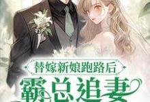 求替嫁新娘跑路后,霸总追妻火葬场了小说的全文免费阅读链接-经典文学