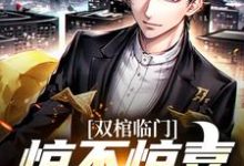双棺临门？惊不惊喜意不意外小说无弹窗阅读的网站推荐-经典文学
