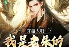 穿越大明：我是老朱的头号黑粉这本小说怎么样？免费在线阅读试试-经典文学